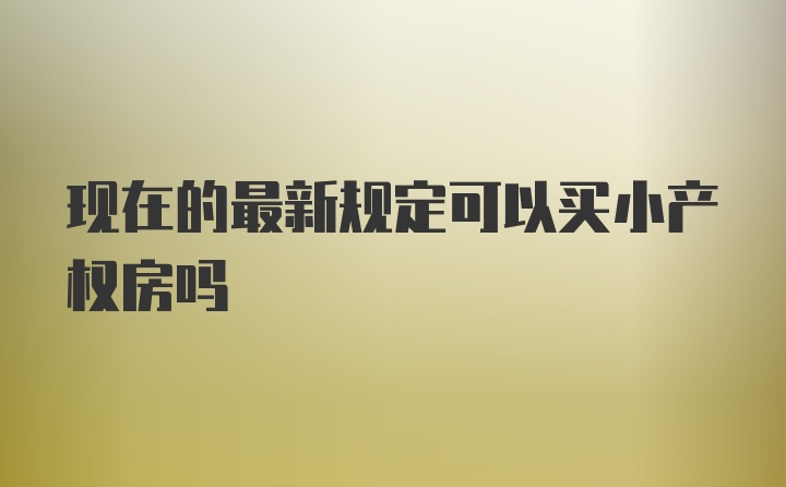 现在的最新规定可以买小产权房吗