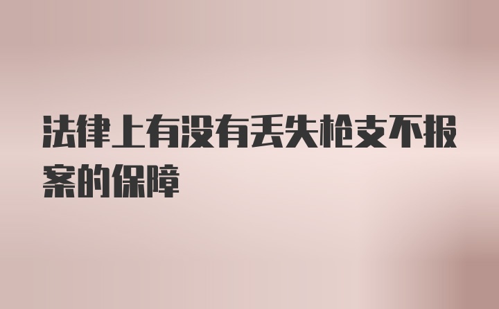 法律上有没有丢失枪支不报案的保障
