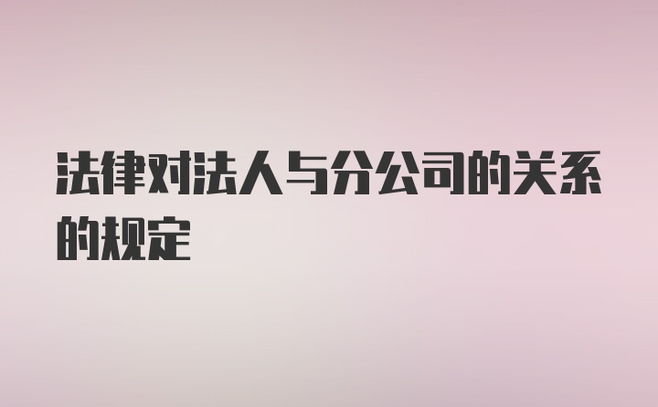 法律对法人与分公司的关系的规定
