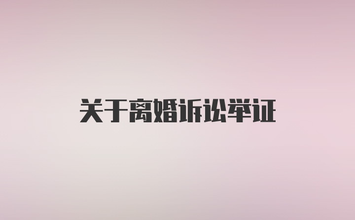 关于离婚诉讼举证