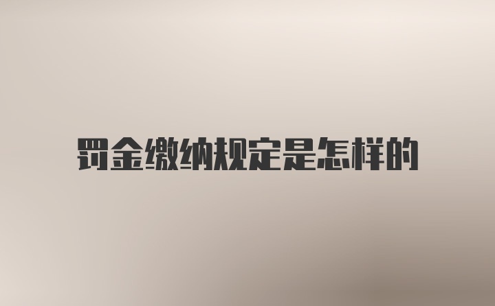 罚金缴纳规定是怎样的
