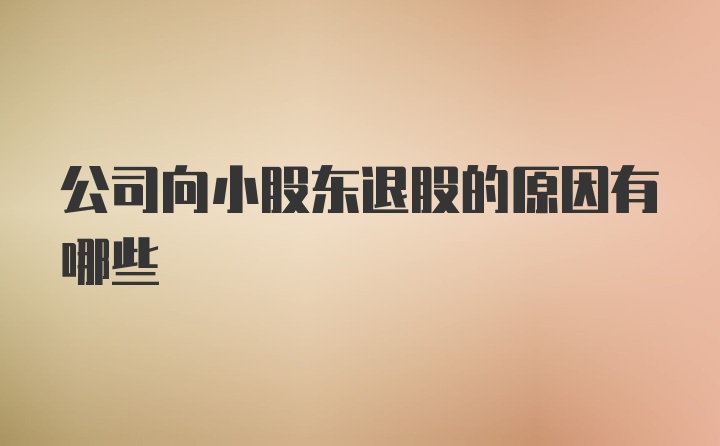 公司向小股东退股的原因有哪些