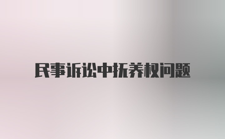 民事诉讼中抚养权问题