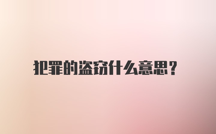 犯罪的盗窃什么意思？