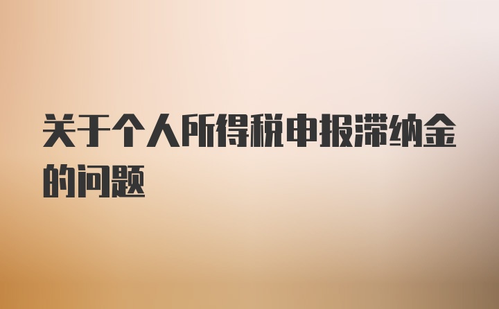 关于个人所得税申报滞纳金的问题