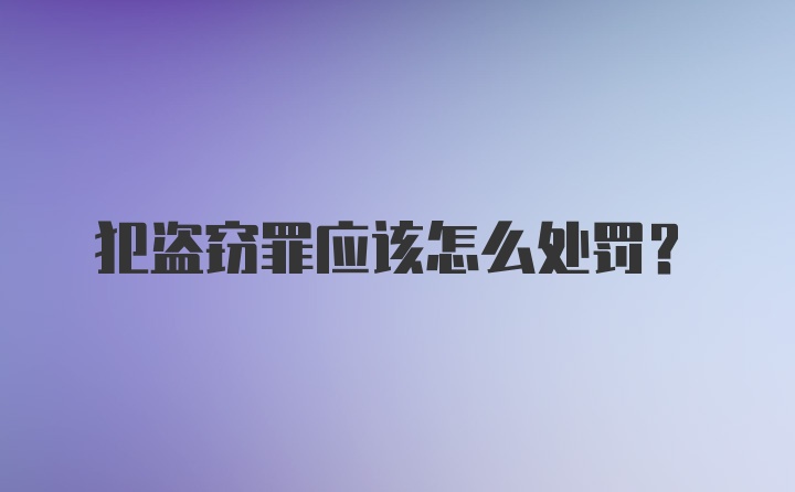 犯盗窃罪应该怎么处罚?