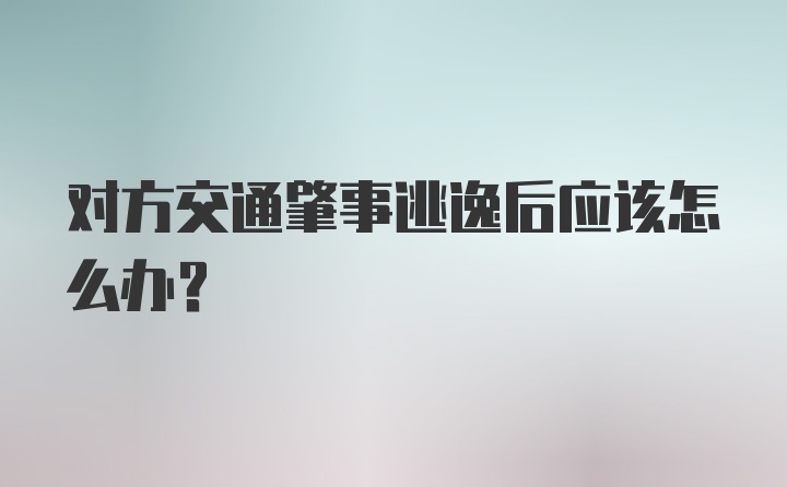 对方交通肇事逃逸后应该怎么办？