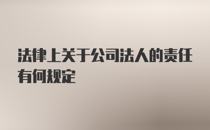 法律上关于公司法人的责任有何规定
