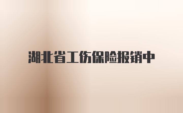 湖北省工伤保险报销中