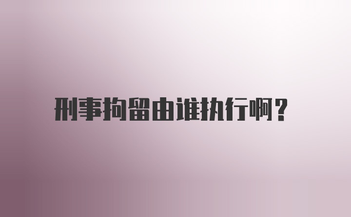 刑事拘留由谁执行啊？