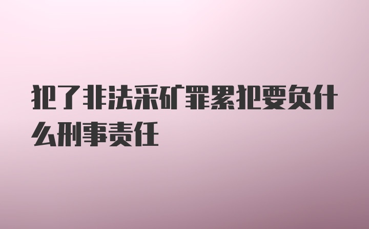 犯了非法采矿罪累犯要负什么刑事责任