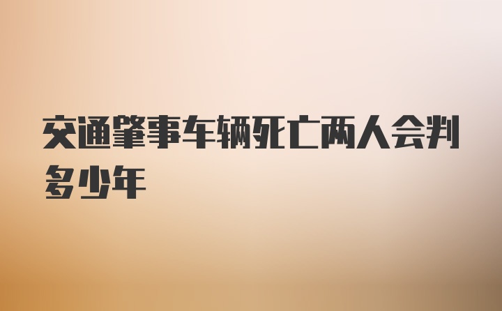 交通肇事车辆死亡两人会判多少年