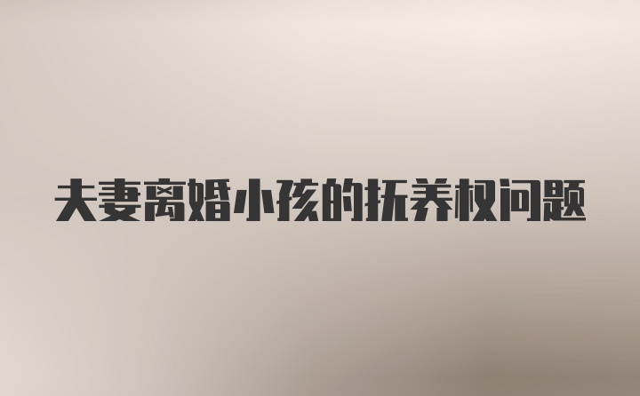 夫妻离婚小孩的抚养权问题