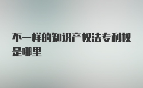 不一样的知识产权法专利权是哪里