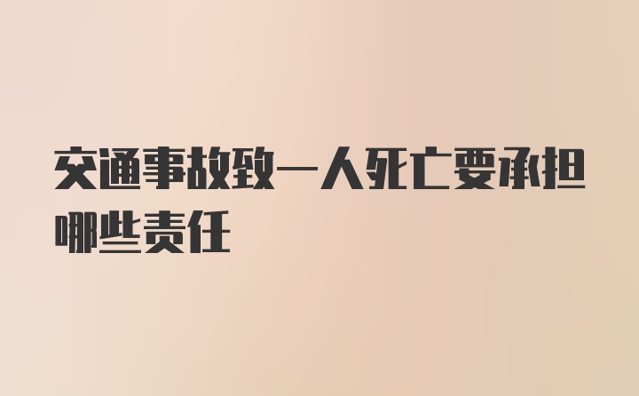 交通事故致一人死亡要承担哪些责任