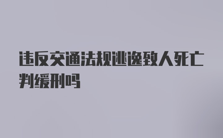 违反交通法规逃逸致人死亡判缓刑吗