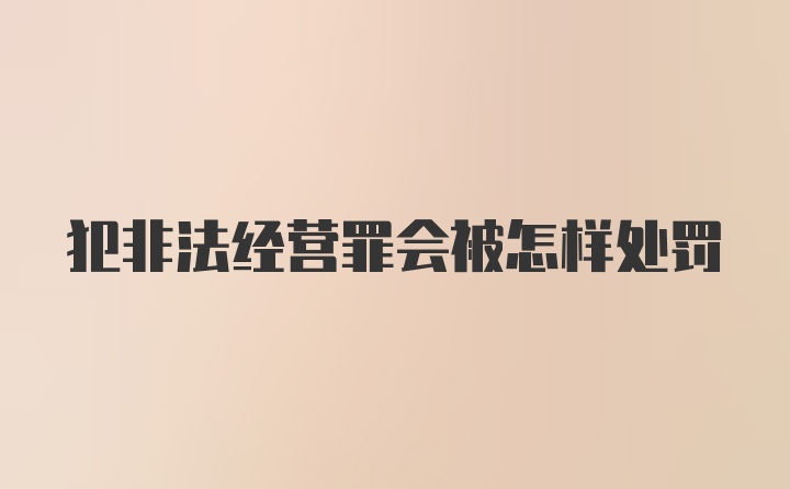 犯非法经营罪会被怎样处罚