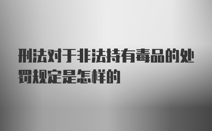 刑法对于非法持有毒品的处罚规定是怎样的