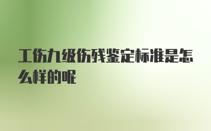 工伤九级伤残鉴定标准是怎么样的呢