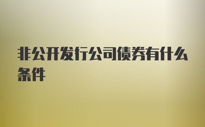 非公开发行公司债券有什么条件