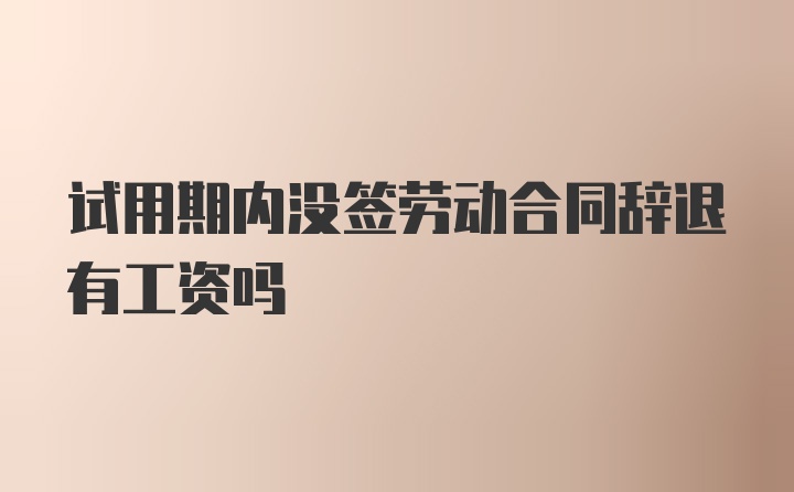 试用期内没签劳动合同辞退有工资吗
