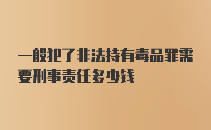 一般犯了非法持有毒品罪需要刑事责任多少钱