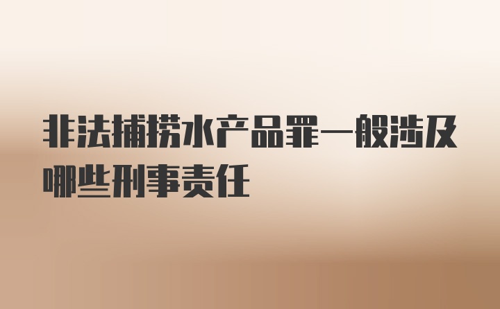 非法捕捞水产品罪一般涉及哪些刑事责任