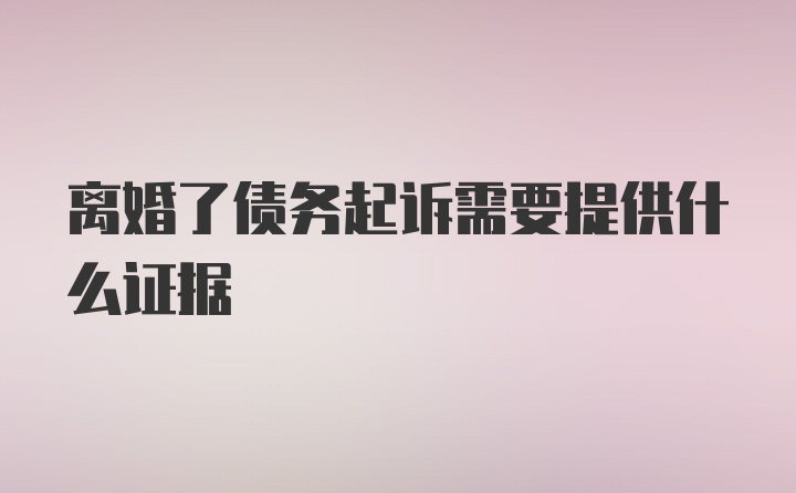 离婚了债务起诉需要提供什么证据