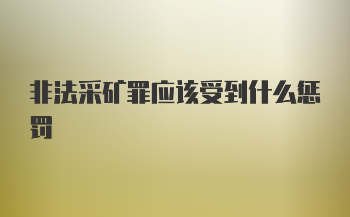 非法采矿罪应该受到什么惩罚