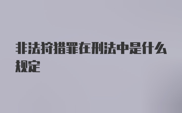 非法狩猎罪在刑法中是什么规定