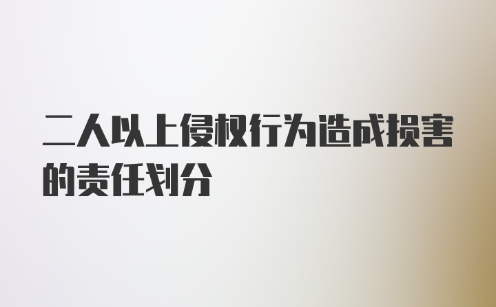 二人以上侵权行为造成损害的责任划分