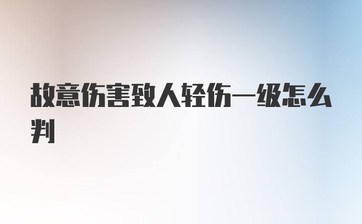 故意伤害致人轻伤一级怎么判