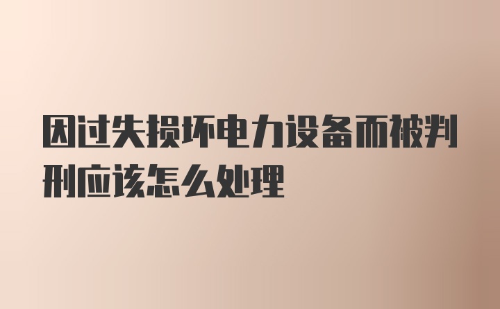 因过失损坏电力设备而被判刑应该怎么处理