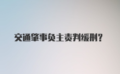 交通肇事负主责判缓刑？