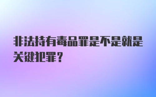 非法持有毒品罪是不是就是关键犯罪？