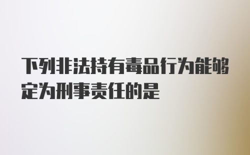 下列非法持有毒品行为能够定为刑事责任的是