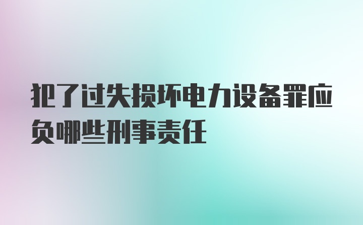 犯了过失损坏电力设备罪应负哪些刑事责任