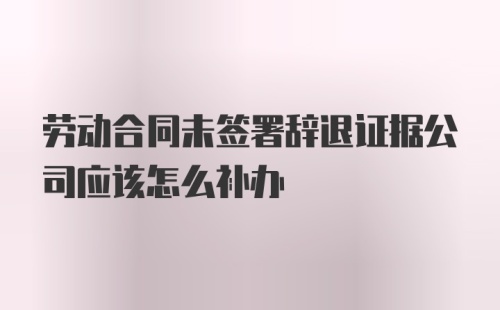 劳动合同未签署辞退证据公司应该怎么补办