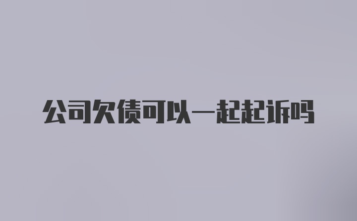 公司欠债可以一起起诉吗