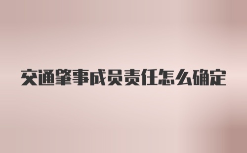 交通肇事成员责任怎么确定