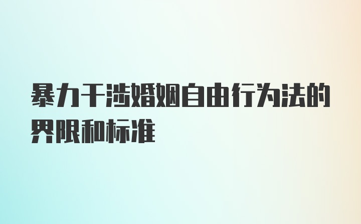 暴力干涉婚姻自由行为法的界限和标准