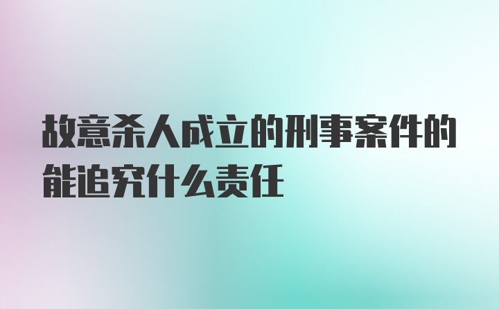 故意杀人成立的刑事案件的能追究什么责任