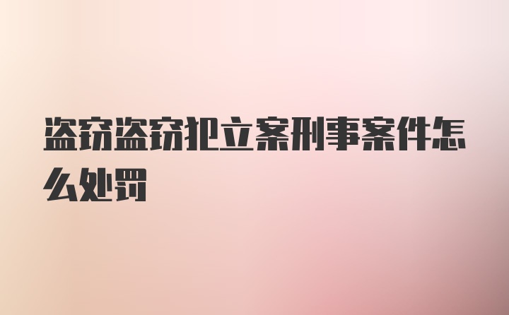 盗窃盗窃犯立案刑事案件怎么处罚