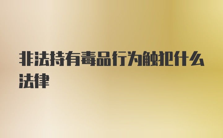 非法持有毒品行为触犯什么法律