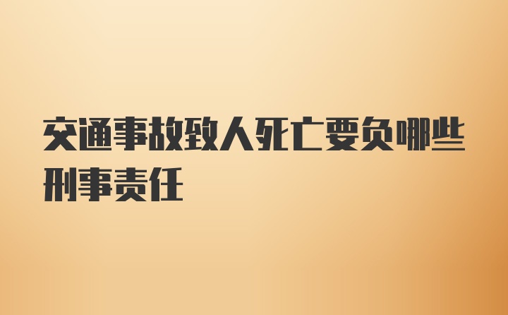 交通事故致人死亡要负哪些刑事责任