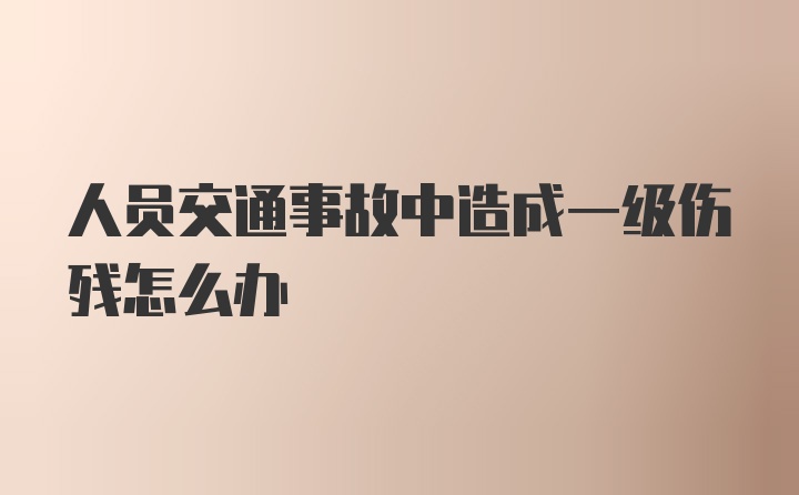 人员交通事故中造成一级伤残怎么办