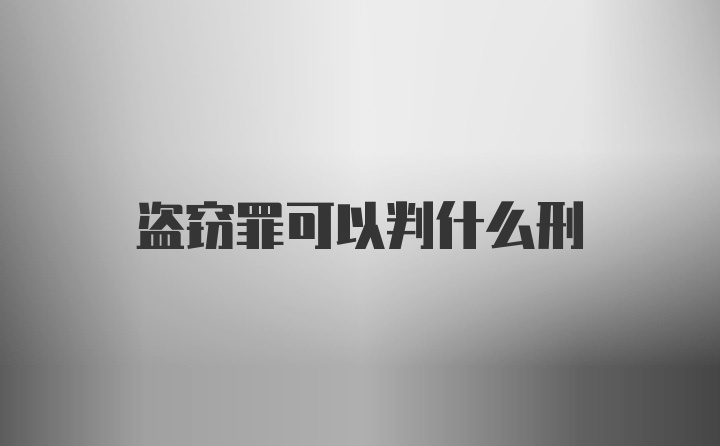 盗窃罪可以判什么刑