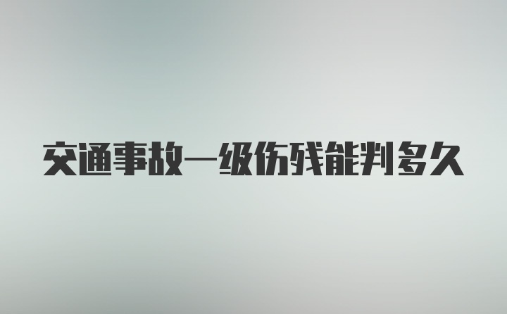 交通事故一级伤残能判多久