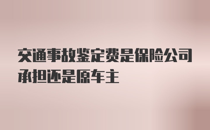 交通事故鉴定费是保险公司承担还是原车主