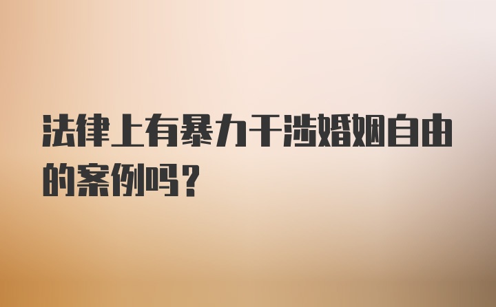 法律上有暴力干涉婚姻自由的案例吗？